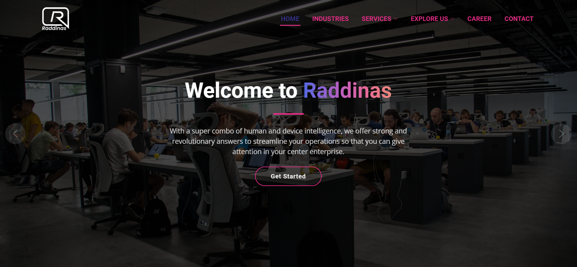 raddinasinfotech